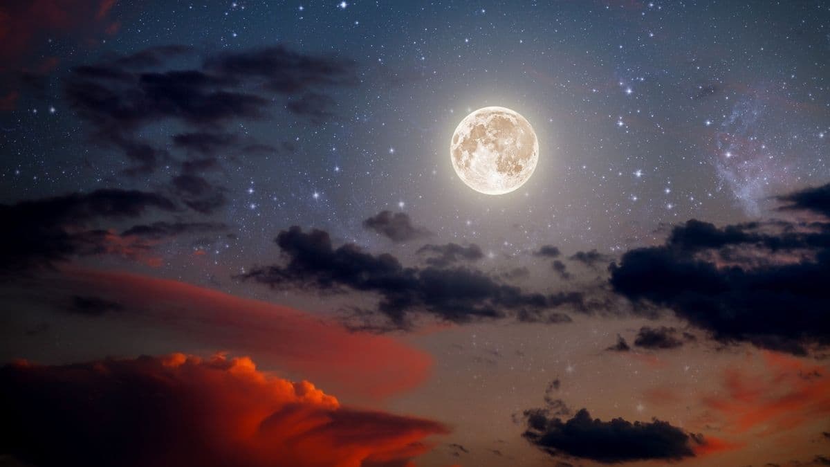 5 Xu Hướng Quản Trị Nhân Sự 2026